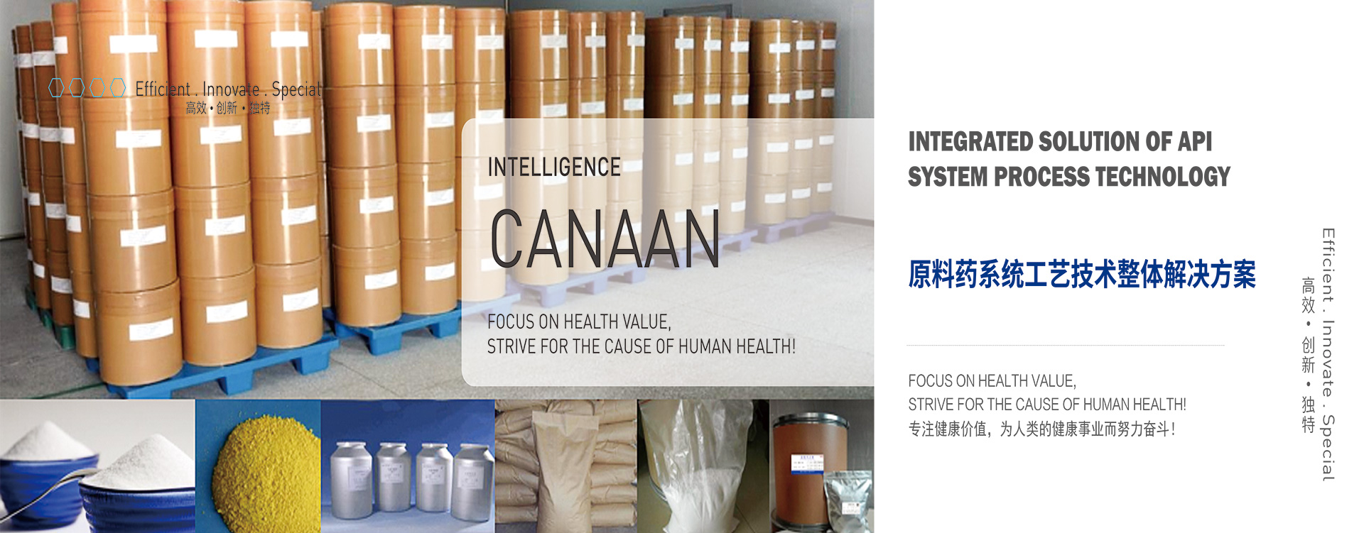 原料藥系統工藝技術(shù)整體解決方案--hbanner